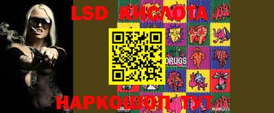 ECSTASY Новодвинск