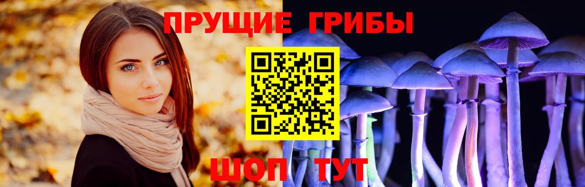 Стрежевой  как найти наркотики  Вход с VPN  Псилоцибиновые грибы прущие грибы 